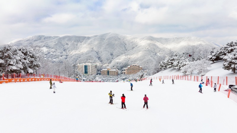 2023-2024 국내 스키장 개장일