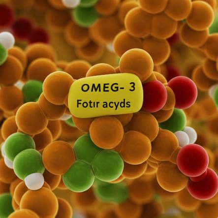 오메가3 이미지