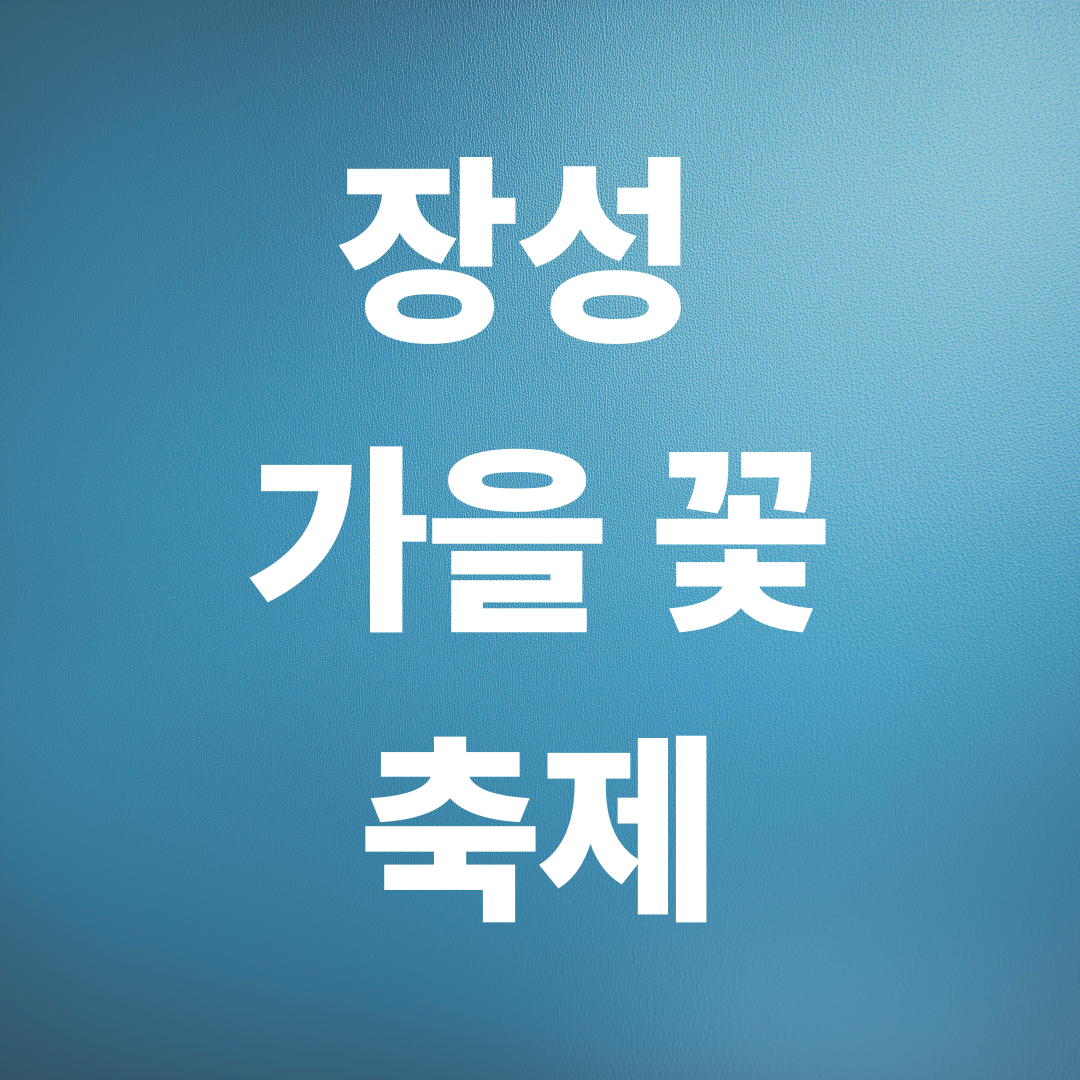 장성 황룡강 가을꽃축제