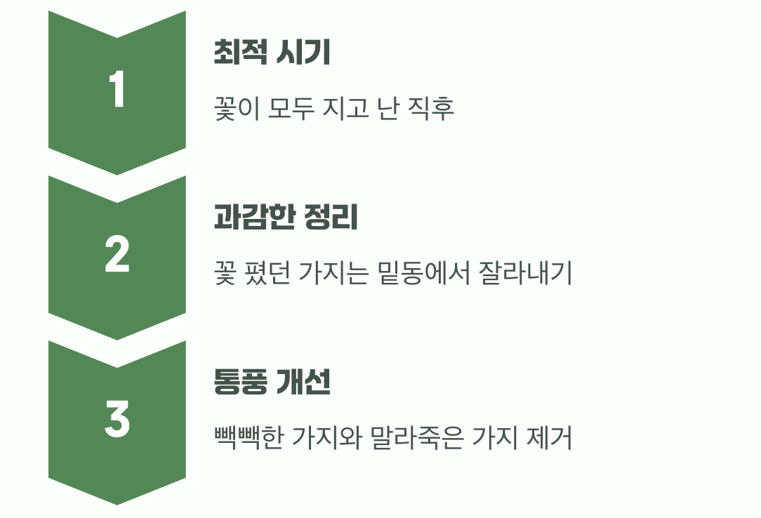 더 풍성한 꽃을 위한 약속, 가지치기