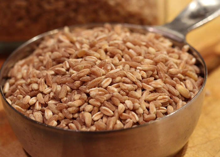 냄비에 담겨 있는 파로 곡물