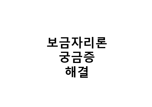 보금자리론