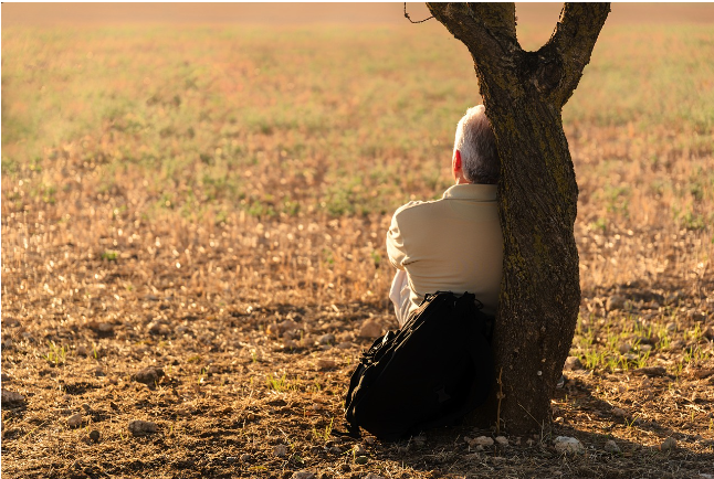 고요한 들판에서 나무에 기대어 사색하는 사람의 뒷모습, 긴 여정을 돌아보며 삶을 성찰하는 순간