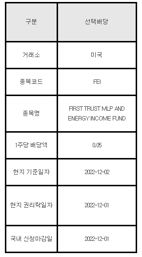 미국주식 선택배당 안내 FEI