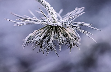 공조냉동기계기사-필기-시험일정-기출문제-다운로드-및-단기-공부방법