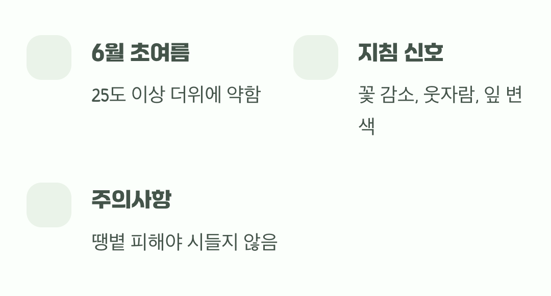 더위를 싫어하는 여린 공주님