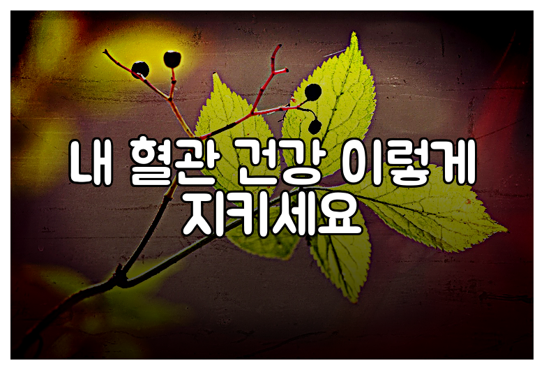 내 혈관 건강 이렇게 지키세요
