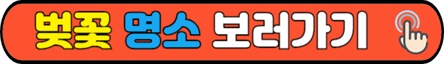 벚꽃 명소 보기