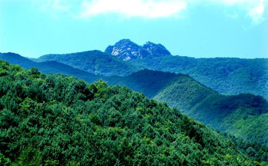 가리산 등산 지도