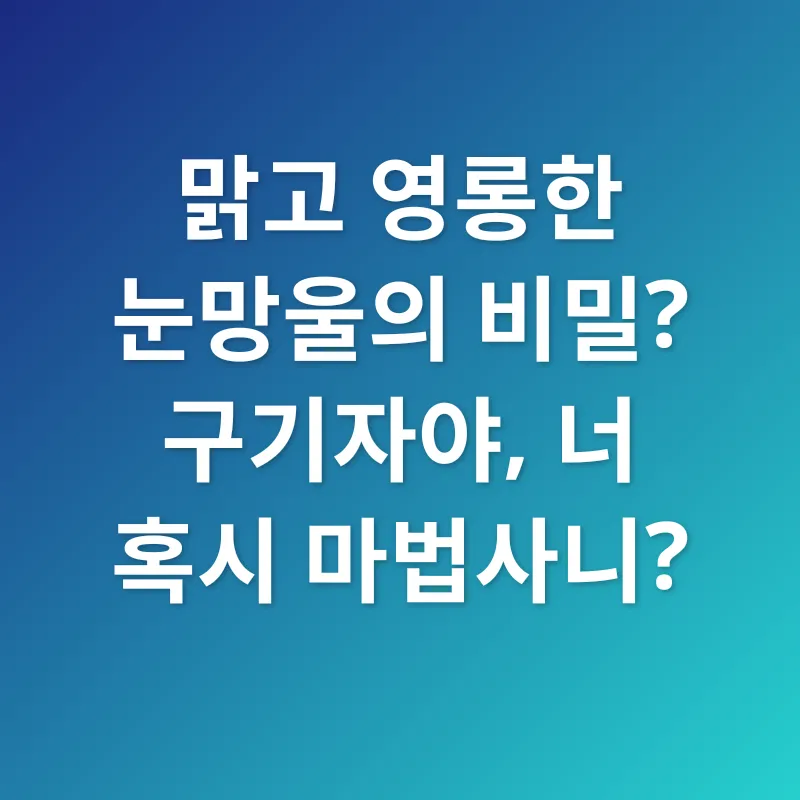 구기자 효능_2