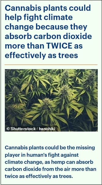 마치 SF영화 같은 '입'으로 신호 보내는 식물 VIDEO: Incredible close-up look at a plant breathing