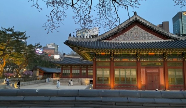 고궁야간개장