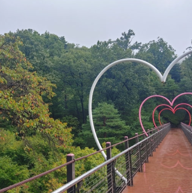 화담숲 모노레일 시간 간격 & 예약 꿀팁 총정리(+2025)