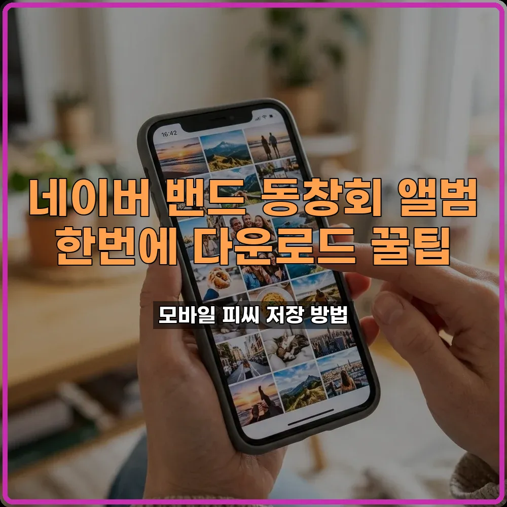 사진백업