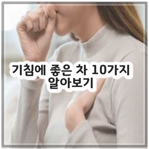 기침에 좋은 차 10가지 알아보기