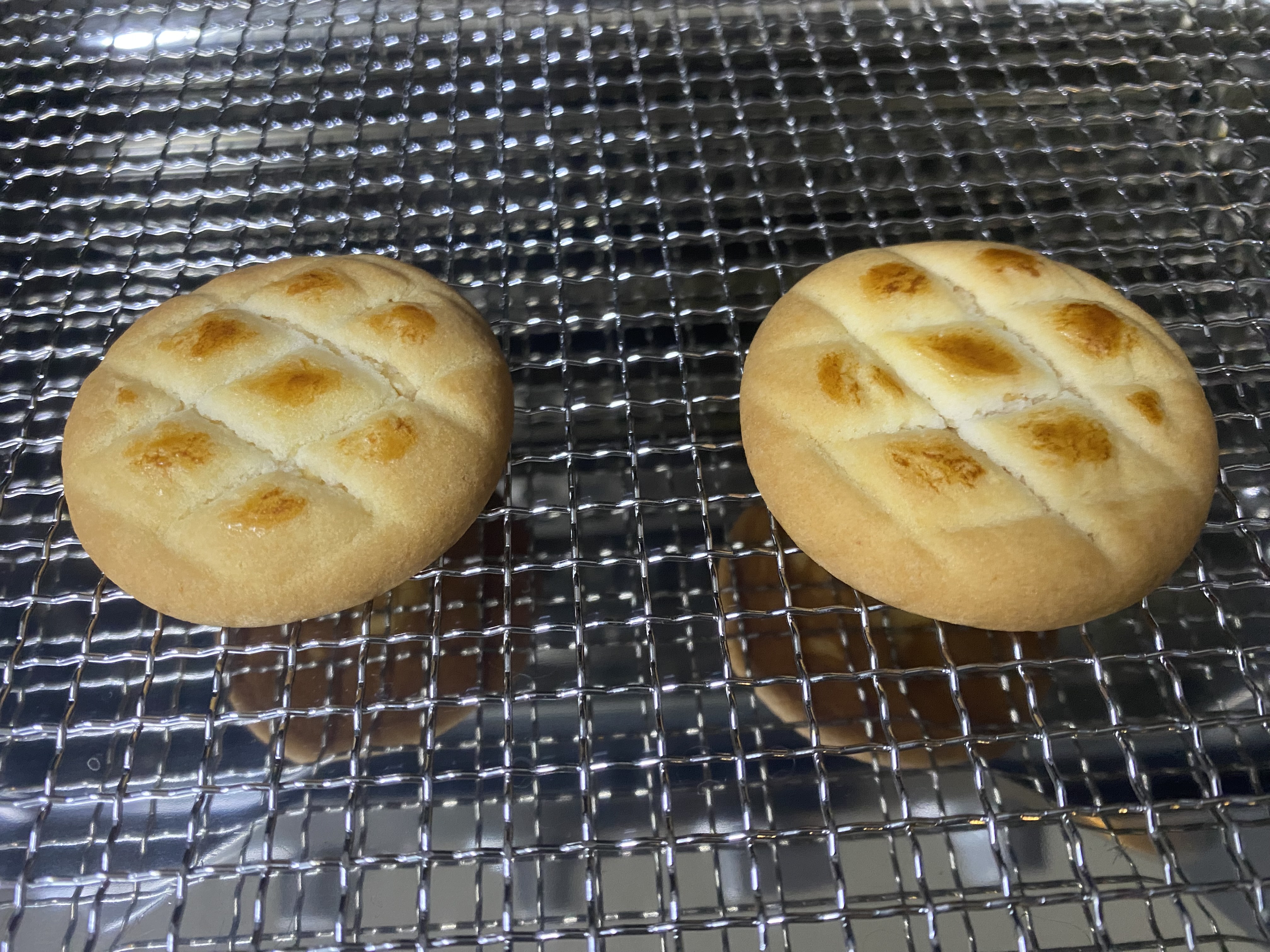 철망 위에 마가렛트 2개가 올려진 사진입니다.