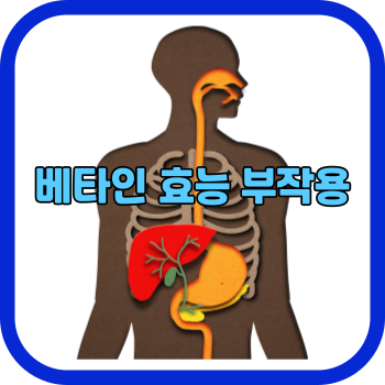 베타인 효능 부작용