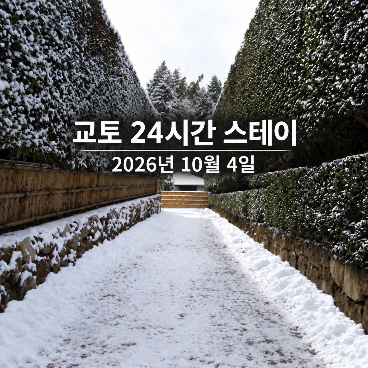 눈 덮인 대나무 울타리와 산책길