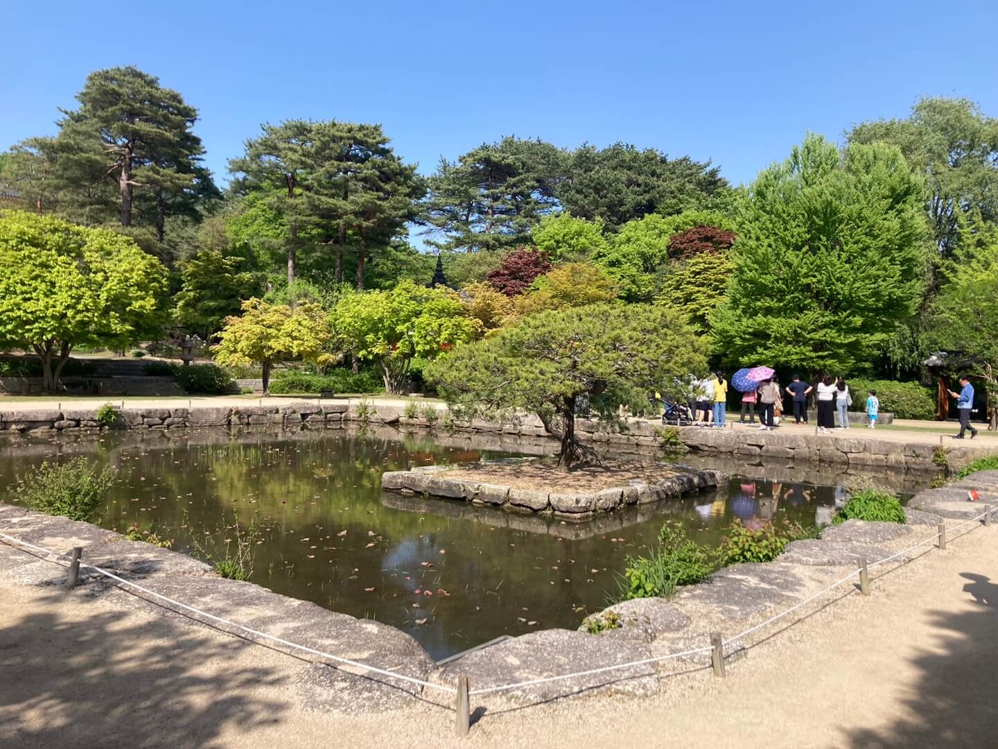 호암미술관 단풍