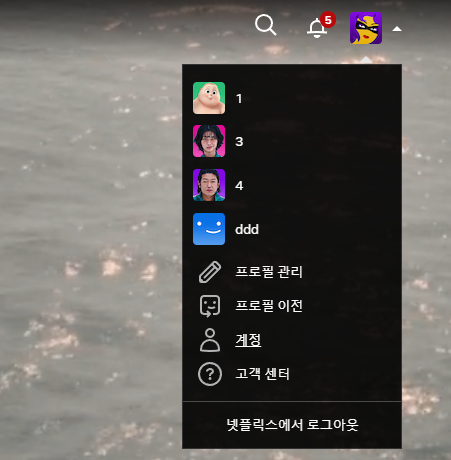 넷플릭스 계정
