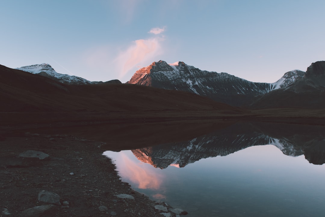 Reflection