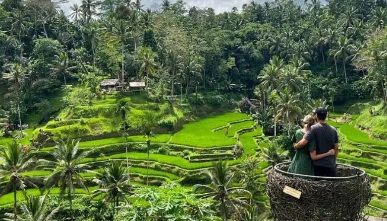 신혼 해외여행 최적지...아니면 그냥 훌훌 가도 좋고