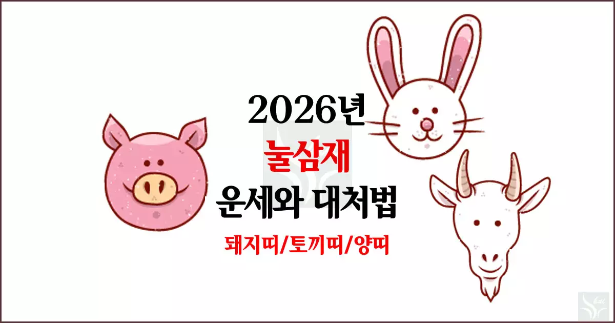 2026년 눌삼재 운세와 대처법-돼재, 토끼, 양띠