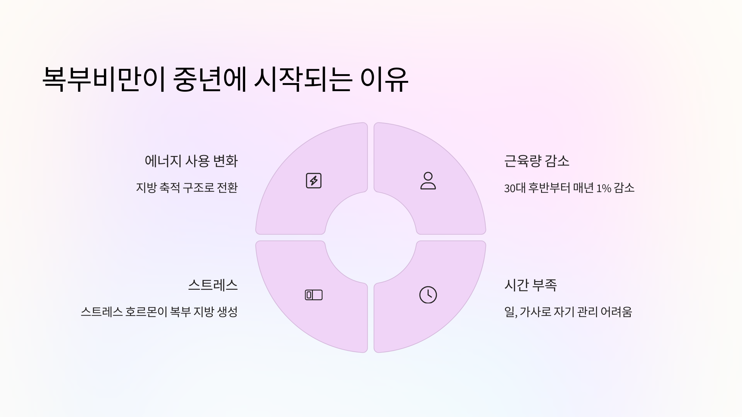 🍽 복부비만이 중년에 시작되는 이유