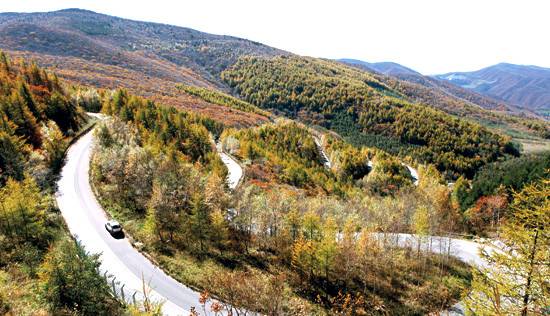 2025/2026 오투리조트 스키장 시즌권 렌탈 할인 완벽 가이드