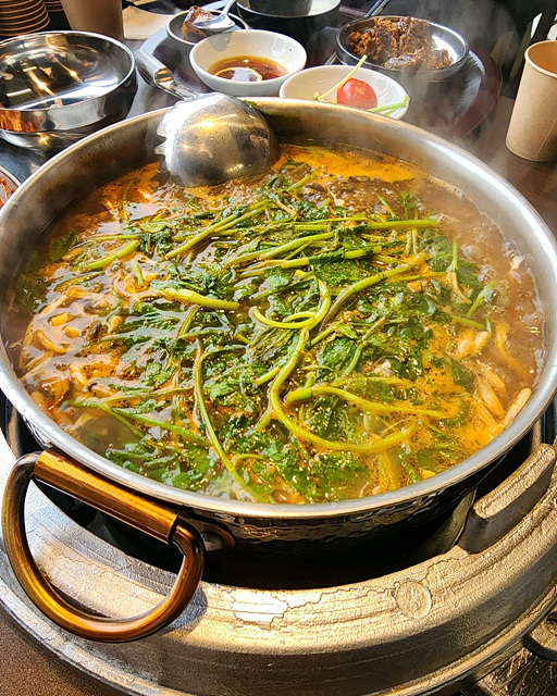 경주 보문단지 근처 맛집 벚꽃여행 현지인 추천 블루판다 보문갈비 가마솥양푼이밥상 보문뜰 우마왕 전통맷돌순두부 경주고기 낙지마실 조돌칼국수 갈치조림구이 토박이식당