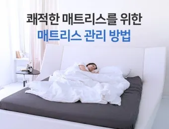 매트리스 관리 청소기 베이킹소다 회전주기 방수커버 팁_12