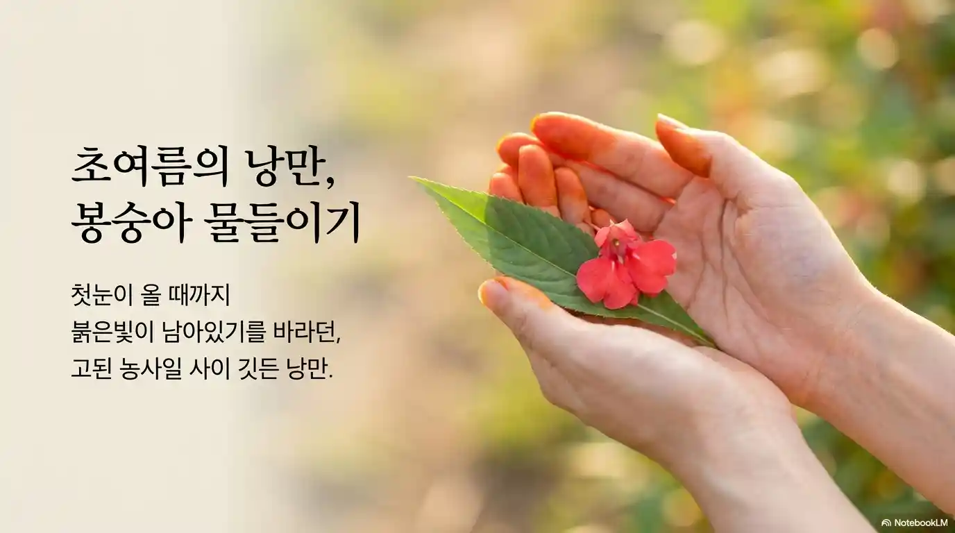 보릿고개에 했던 봉숭아 물들이기