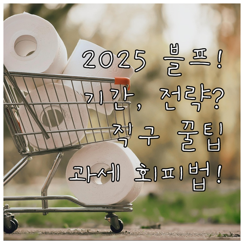 한국형 블랙프라이데이 2025 총정리..