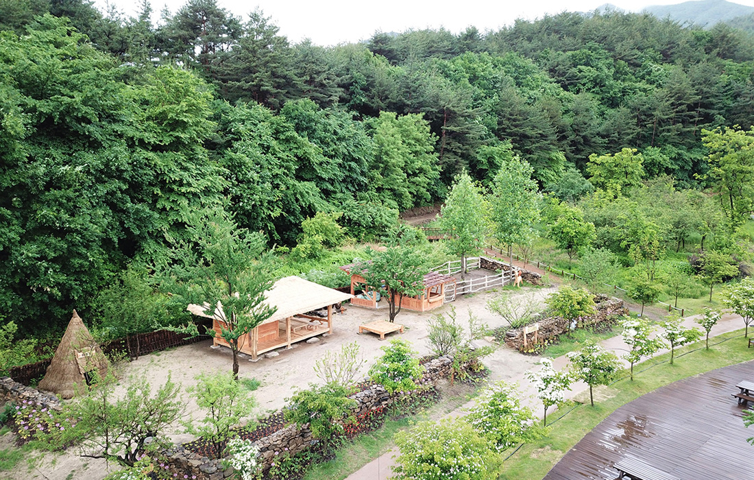 국립백두대간수목원 관람 가이드|운영시간·입장료·동선 정리