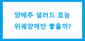 위에 좋은 양배추 링크