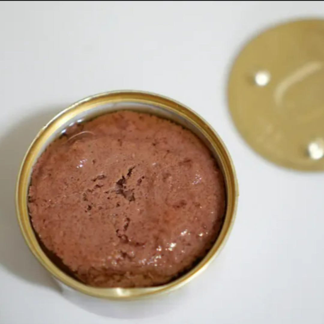 고양이 탈수 & 수분보충5