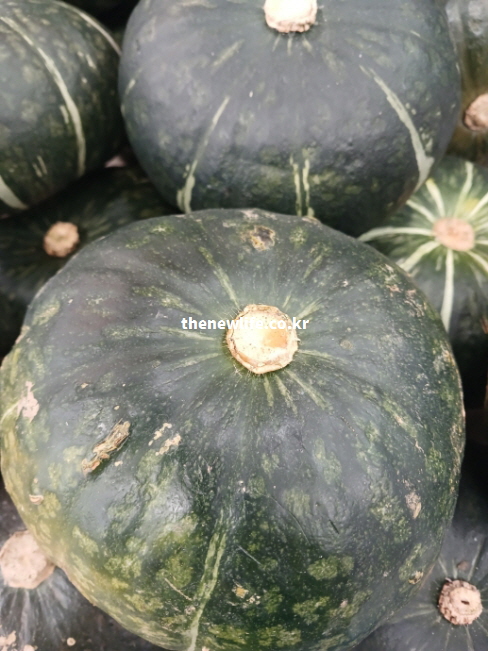 단호박 효능을 설명하는 짙은 녹색의 단호박 껍질 근접 실물 사진