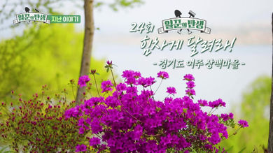 일꾼의 탄생 재방송 다시보기 - 무주 지전마을 21회 22회, 여주 흥천면 상백마을 23회 24회