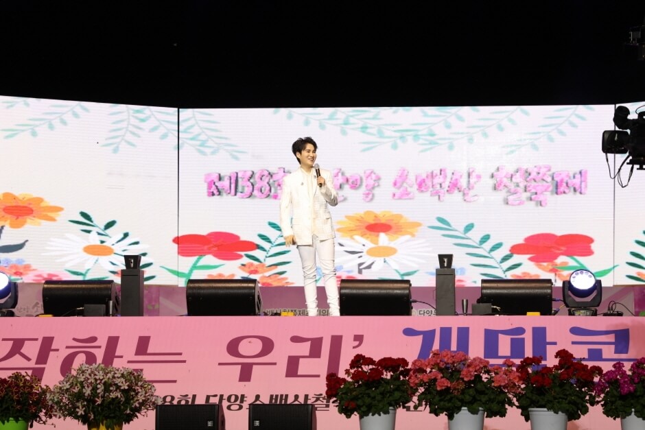 2025 단양 소백산 철쭉제: 봄의 절정을 만나는 시간