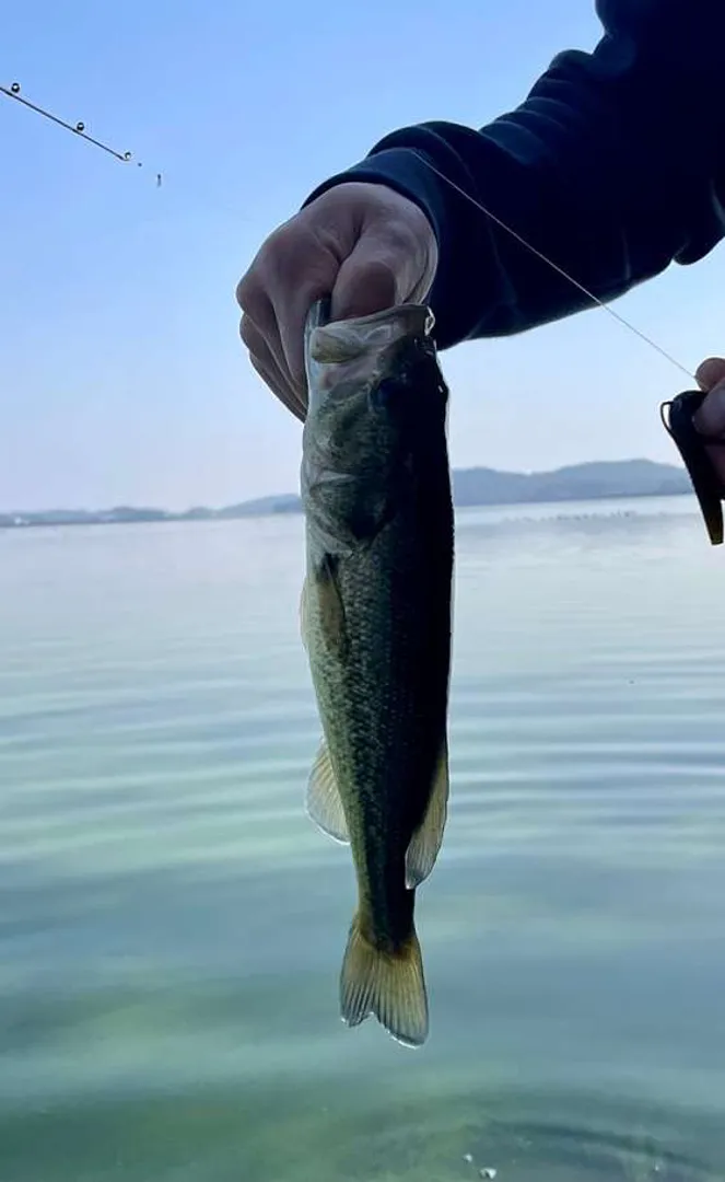 금강