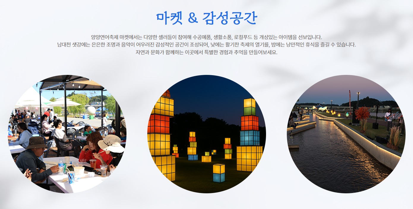 2025양양연어축제 연어 맨손잡기,상품권 환급