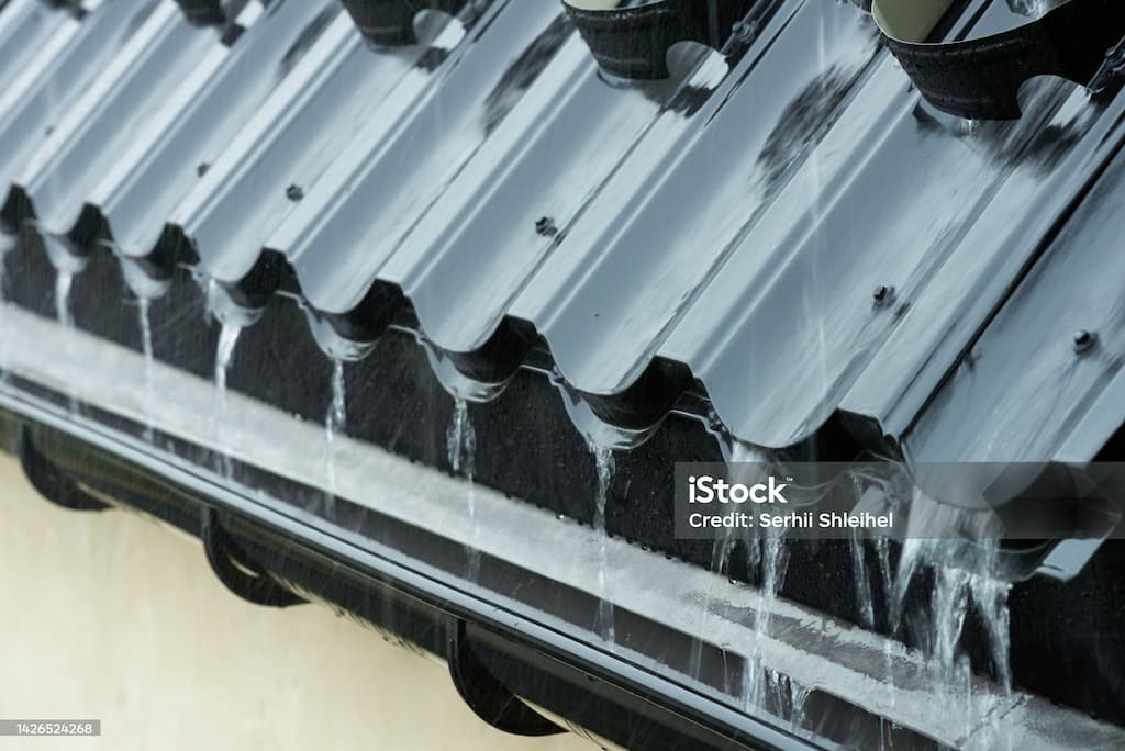 지구를 살리는 작은 습관, 빗물을 이용한 식물 관리법