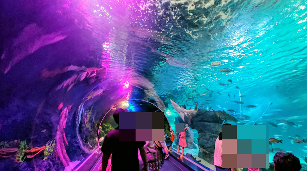 광교 아쿠아플라넷 다녀온 후기 사진 14