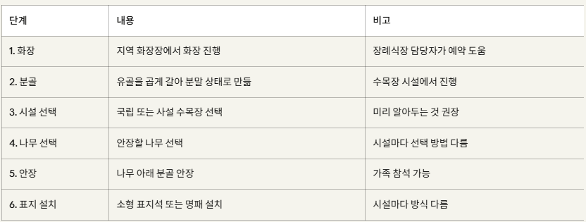 수목장 절차 단계별 정리