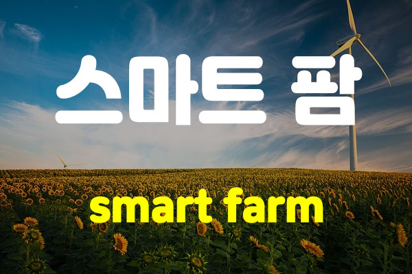스마트 팜 기술을 통한 농업의 혁신