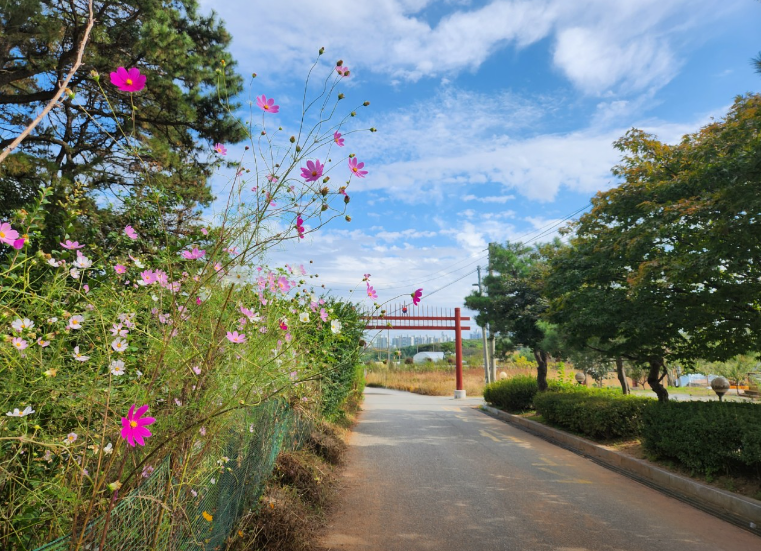 오봉산맨발등산길2