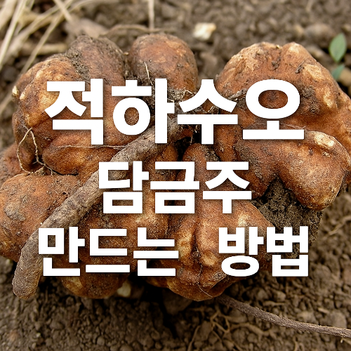 적하수오 담금주 가격 만드는 방법 효능정리