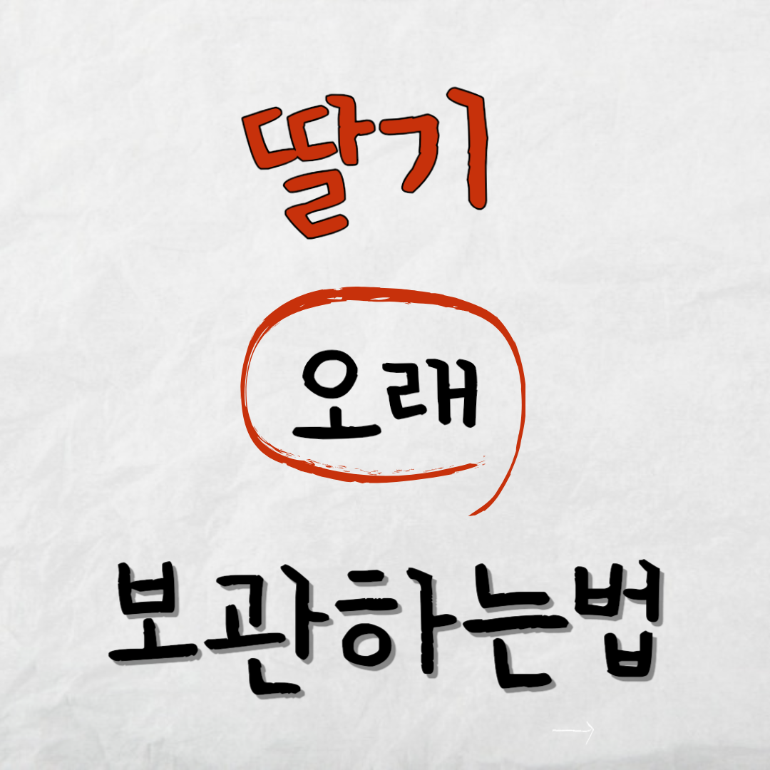 딸기오래보관하는법