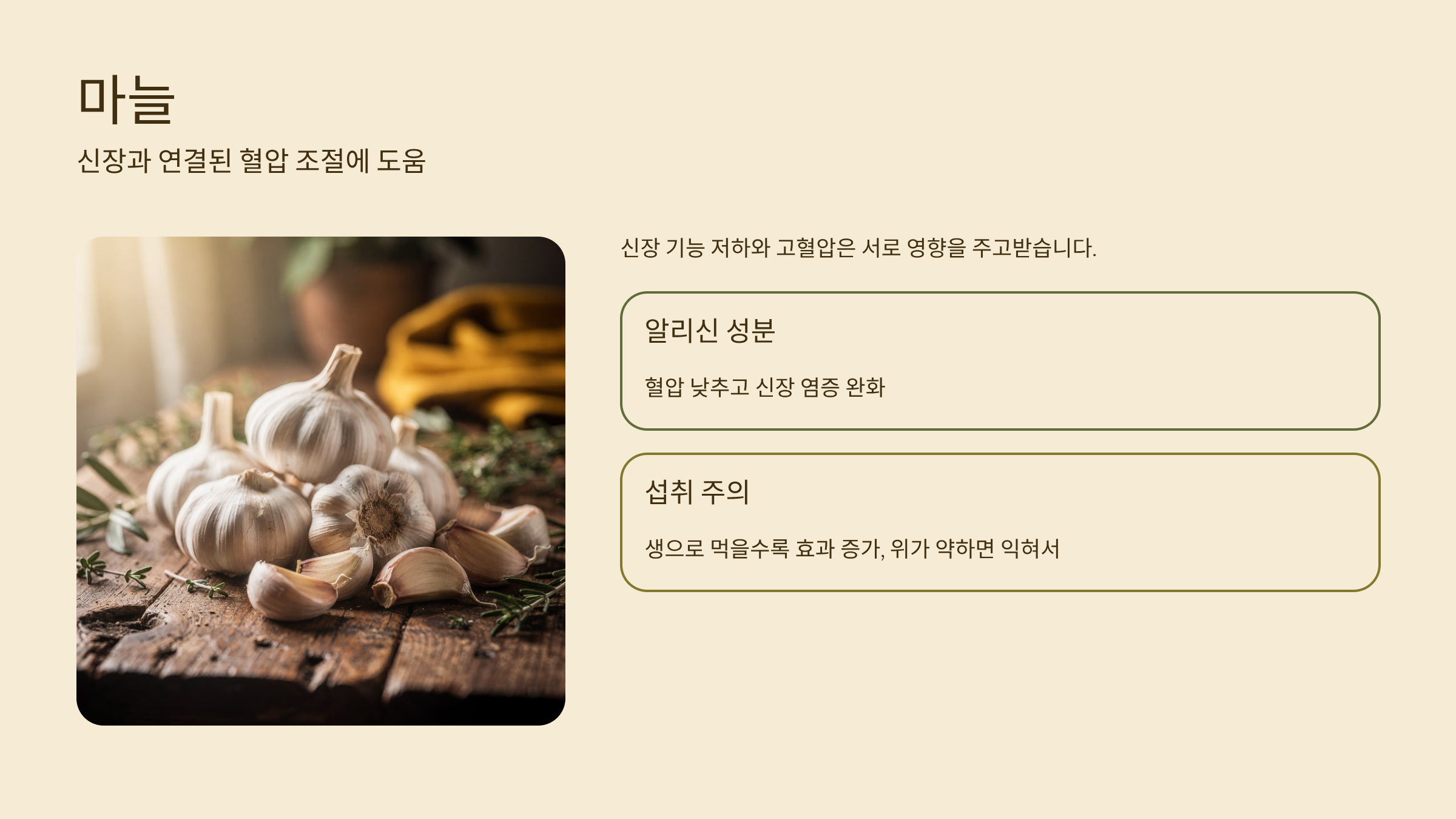 신장에 좋은 음식 마늘