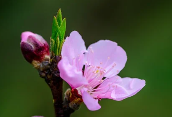 아파트 실거래가 조회 바로 가기 17